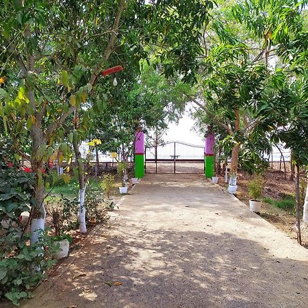 Estuarine Village Resort Satabhaya ภายนอก รูปภาพ