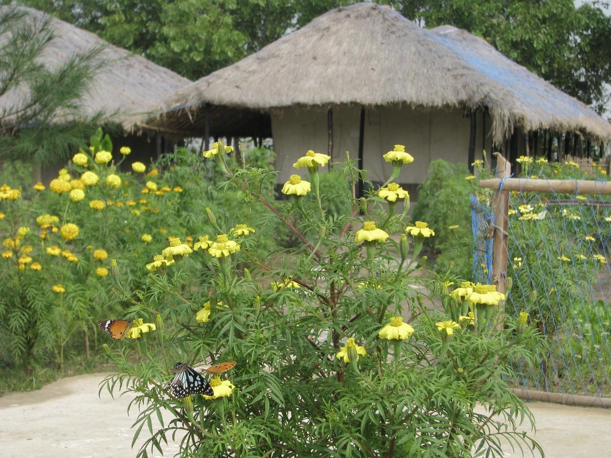 Estuarine Village Resort Satabhaya ภายนอก รูปภาพ