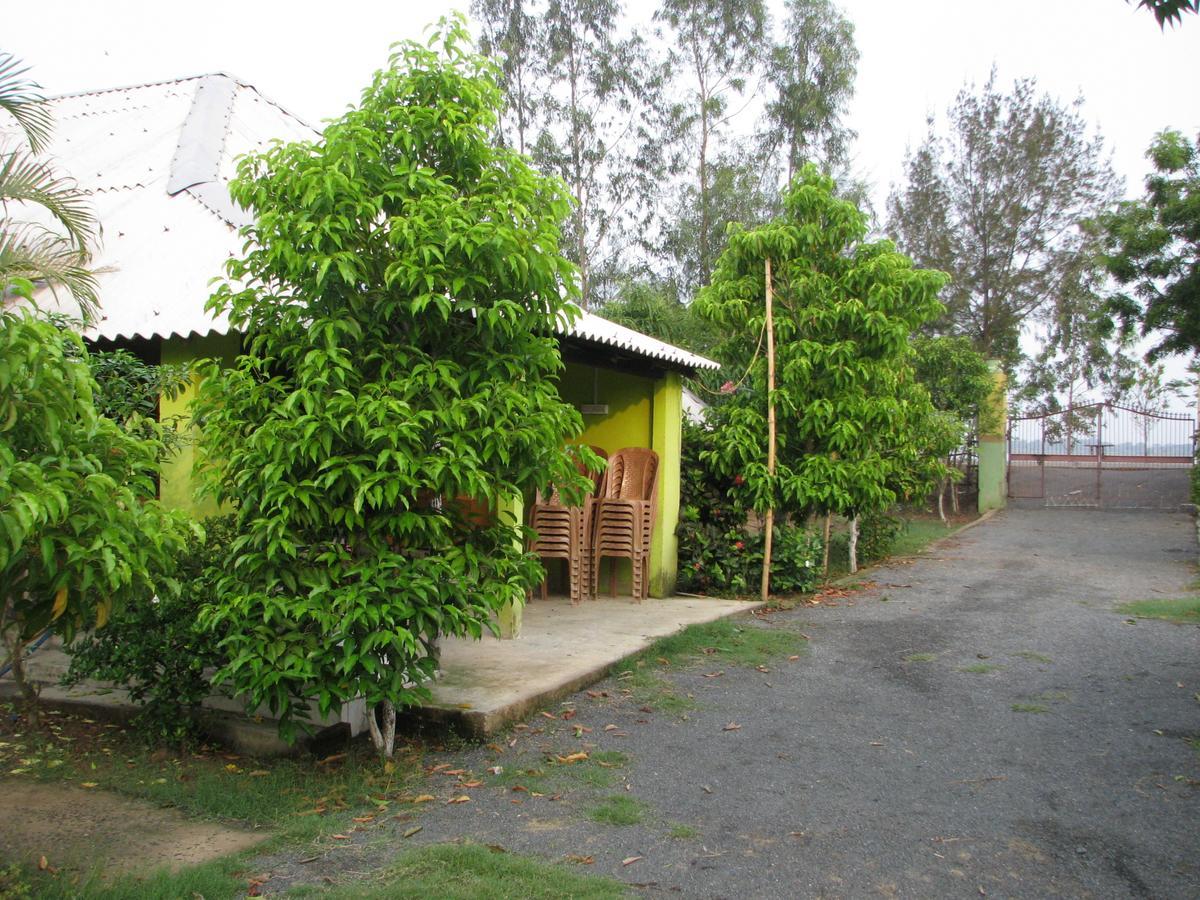 Estuarine Village Resort Satabhaya ภายนอก รูปภาพ